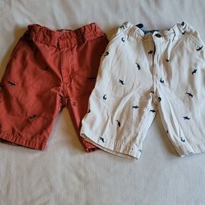 Boys size 8 bermuda short bundle